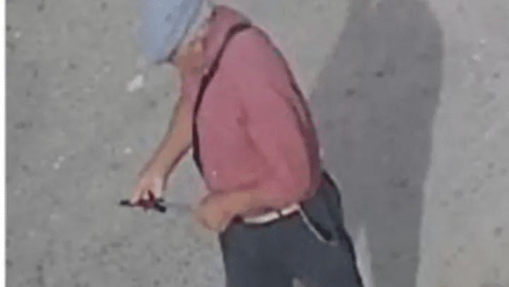 La Plata: imputan a un hombre de 70 años por matar a un&nbsp;perro